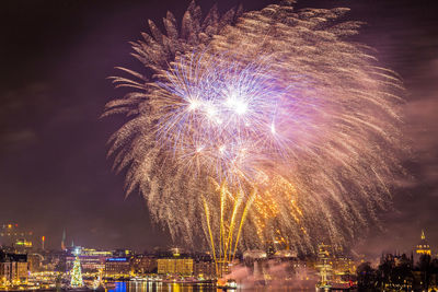 Low angle view of firework display at night