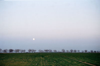 Scenic view of field against clear sky