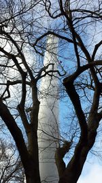 Low angle view of bare tree against sky