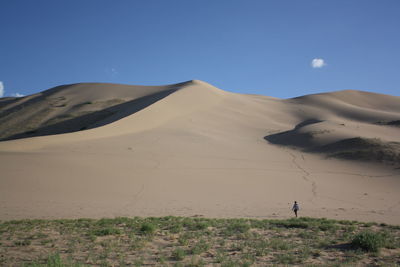 Along the lonely khongor sand dunes and green vegetation, gobi desert, south mongolia. 