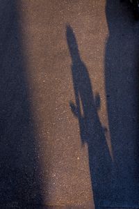 Shadow of people on road