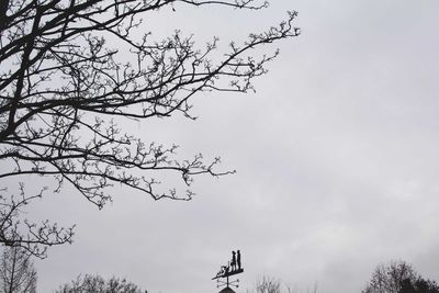 Low angle view of bare trees against sky