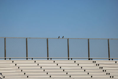 Two spectators