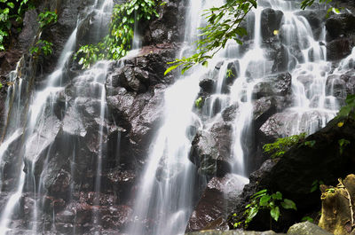 Low angle view of waterfall against trees