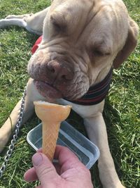 Close-up of hand holding ice cream cone