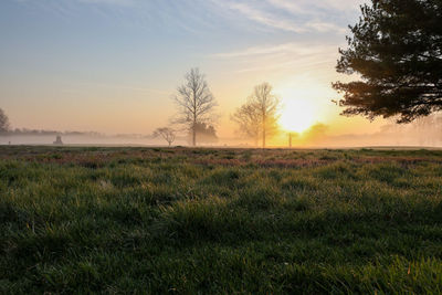 Scenic view of field against sky during sunset