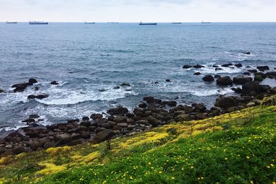 Scenic view of sea against sky