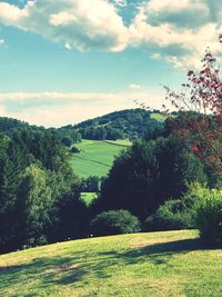 Scenic view of field against sky