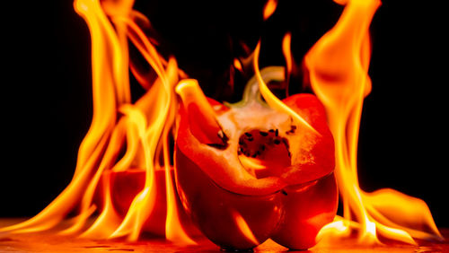 Close-up of fire against black background