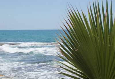 Scenic view of sea against clear sky