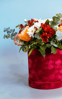 Close-up of red rose flowers in vase
