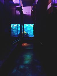illuminated