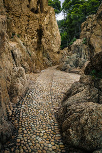 View of rock formation on land