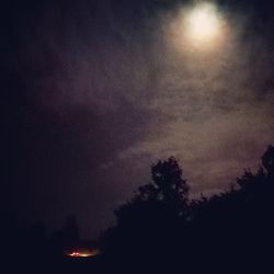 Low angle view of illuminated trees against sky at night