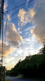 Low angle view of trees against sky during sunset