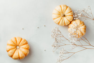 High angle view of pumpkins on table