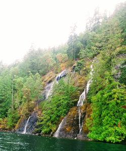 Scenic view of waterfall in forest against clear sky