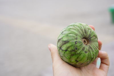 Close-up of hand holding fruit