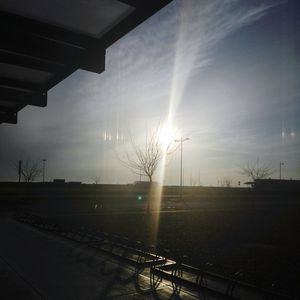 Sun shining through trees on field