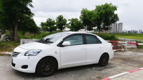 Car on road against trees