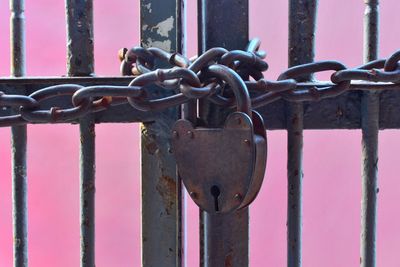 Close-up of padlock on metal gate