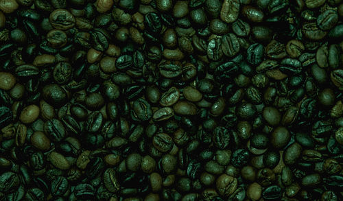 Full frame shot of coffee beans