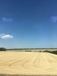 Scenic view of agricultural field against blue sky