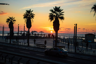 Silhouette palm trees by sea against sky during sunset