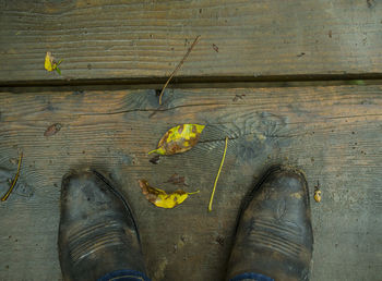 Low section of person standing on wood