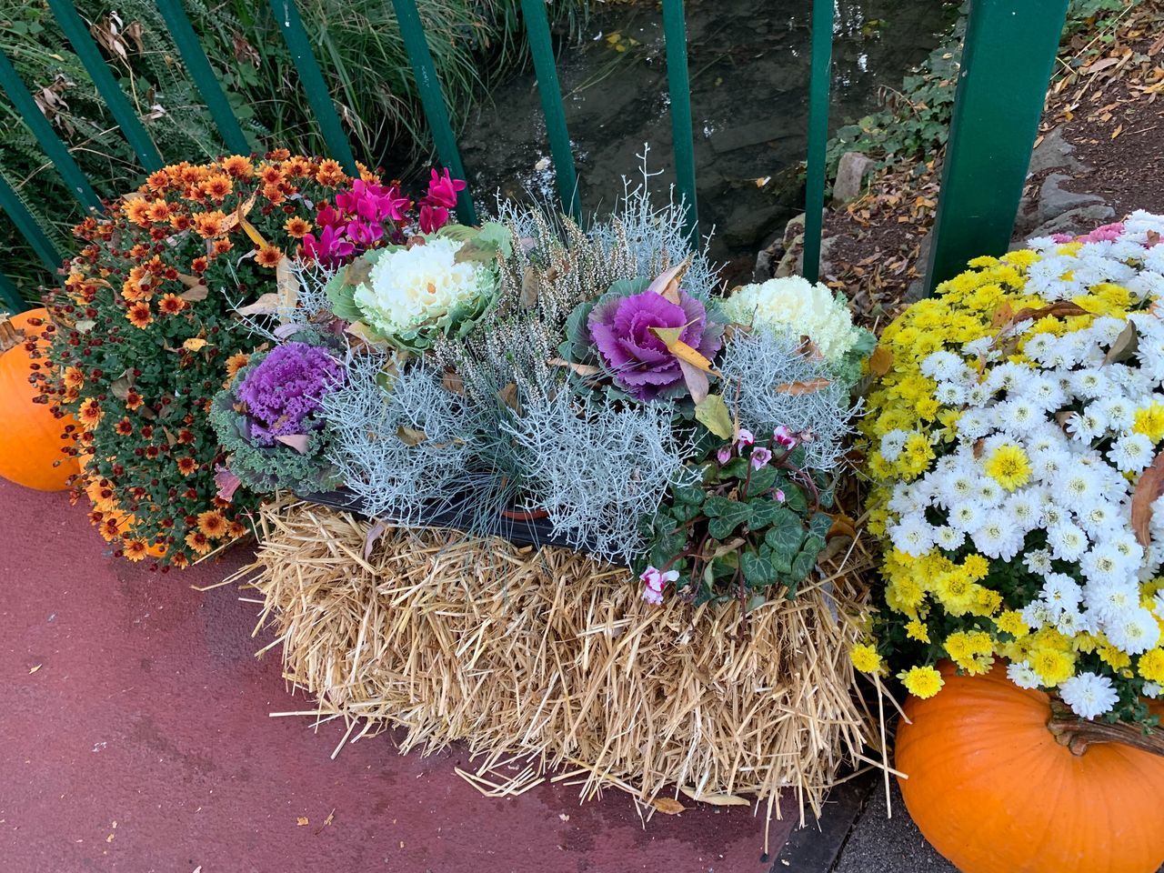 HIGH ANGLE VIEW OF FLOWER POT ON PLANT