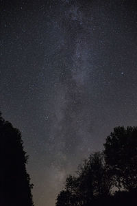 Low angle view of silhouette trees against star field at night