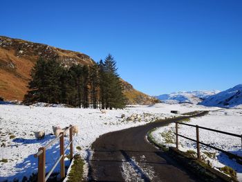 Scenic view of snowcapped mountains against clear blue sky