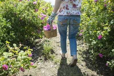Low section of person standing by flowering plants