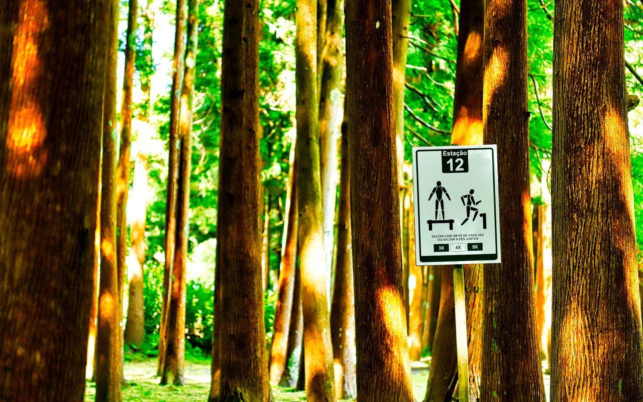 WARNING SIGN ON TREE TRUNK