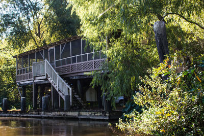 Built structure by trees and plants in forest