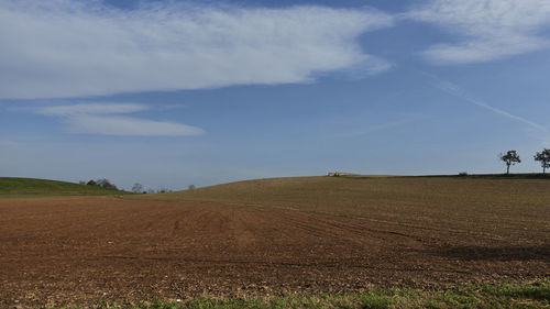 Scenic view of agricultural field against sky