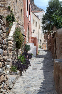 Walkway amidst historic building