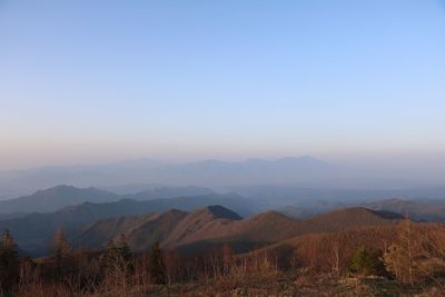 Scenic view of field against clear sky