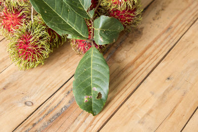 High angle view of plant growing on table