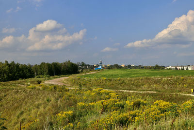 Scenic view of field against sky