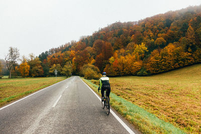 Rear view of person riding bicycle on road during autumn