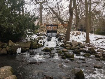 Stream flowing through rocks in forest