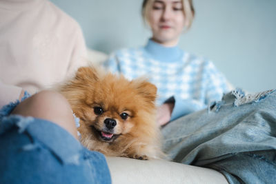 Pomeranian pet on the sofa with teens girls