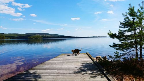 View of pier on lake