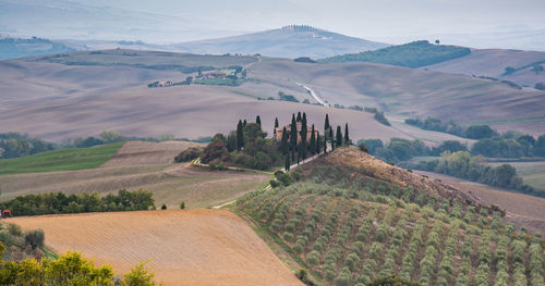 Beautiful idyllic farmland with meadow filed and farmhouse at tuscany area near pienza italy, europe