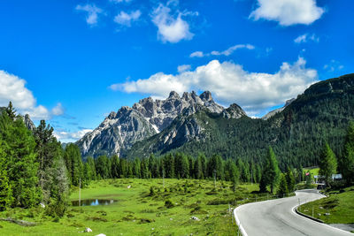Road amidst trees in forest against sky