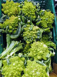 Close-up of vegetables for sale in market