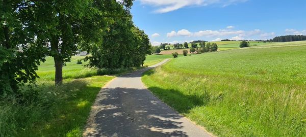 Road amidst trees on field against sky