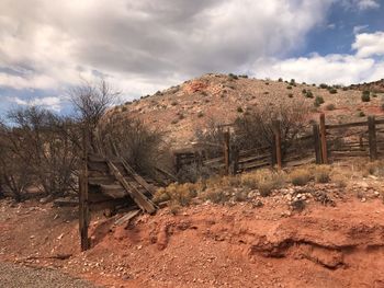 Trees on field against sky