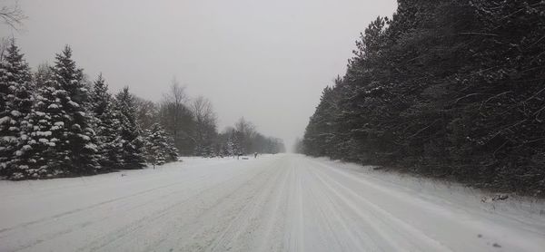 Road amidst trees against clear sky during winter